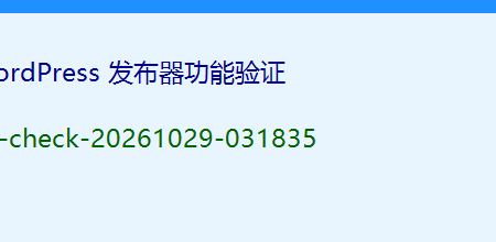 发布器功能验证 xq-check-20261029-031835 1